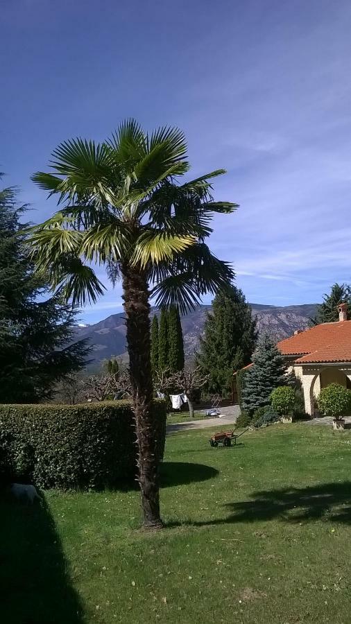 Canigou Lodge Vernet-les-Bains Exterior foto